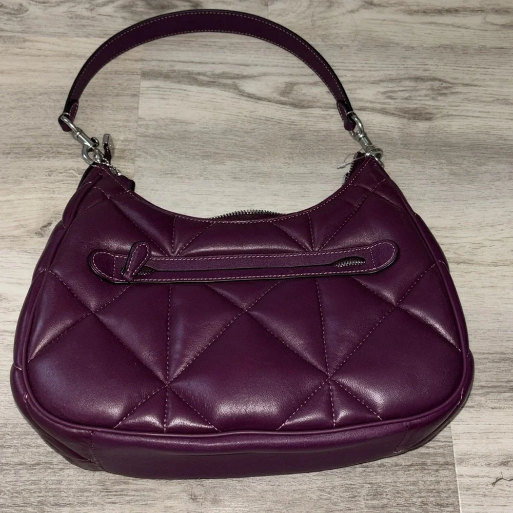 Teri Hobo Bag With Puffy Diamond Quilting - Picture 5 of 6
